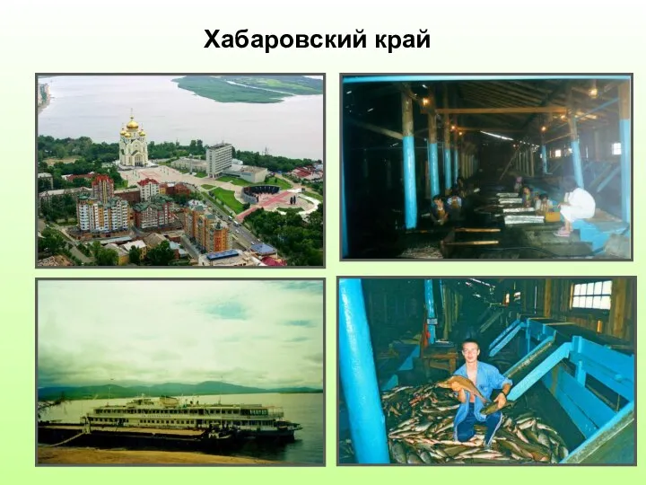 Хабаровский край