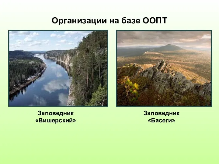 Организации на базе ООПТ Заповедник «Вишерский» Заповедник «Басеги»