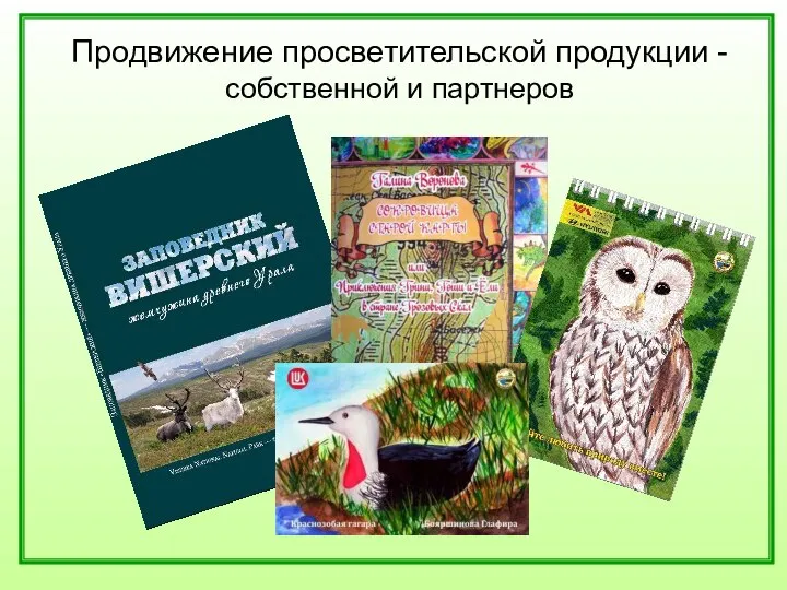 Продвижение просветительской продукции - собственной и партнеров