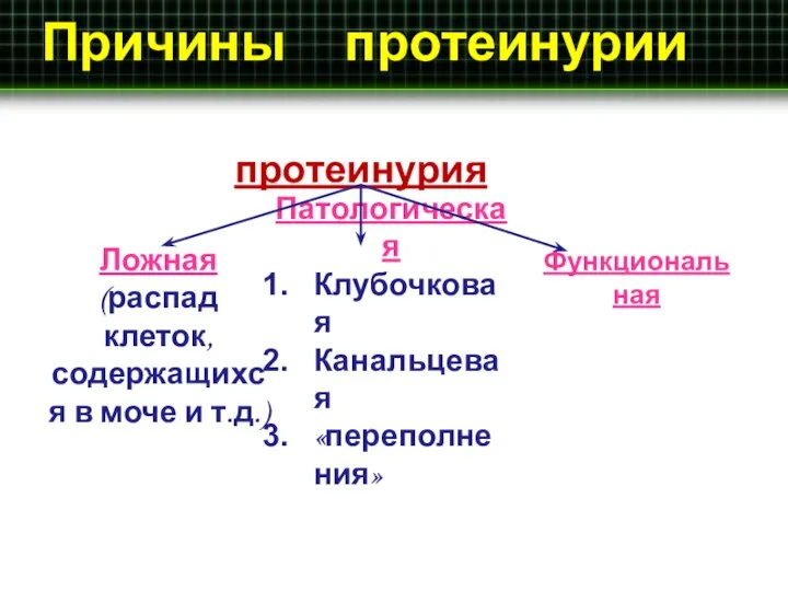 Причины протеинурии протеинурия Ложная (распад клеток, содержащихся в моче и т.д.) Патологическая Клубочковая Канальцевая «переполнения» Функциональная