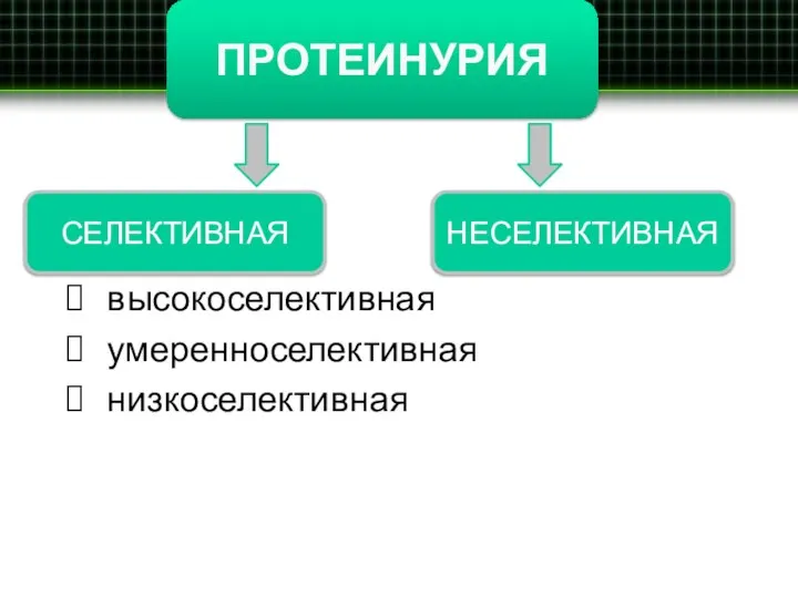 высокоселективная умеренноселективная низкоселективная ПРОТЕИНУРИЯ СЕЛЕКТИВНАЯ НЕСЕЛЕКТИВНАЯ