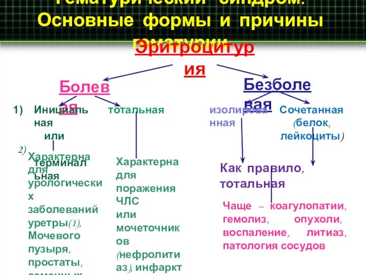 Гематурический синдром. Основные формы и причины гематурии Эритроцитурия Болевая Безболевая Инициальная или