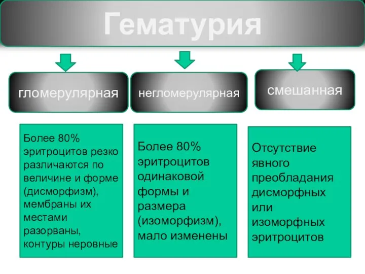 Гематурия гломерулярная смешанная негломерулярная Более 80% эритроцитов резко различаются по величине и