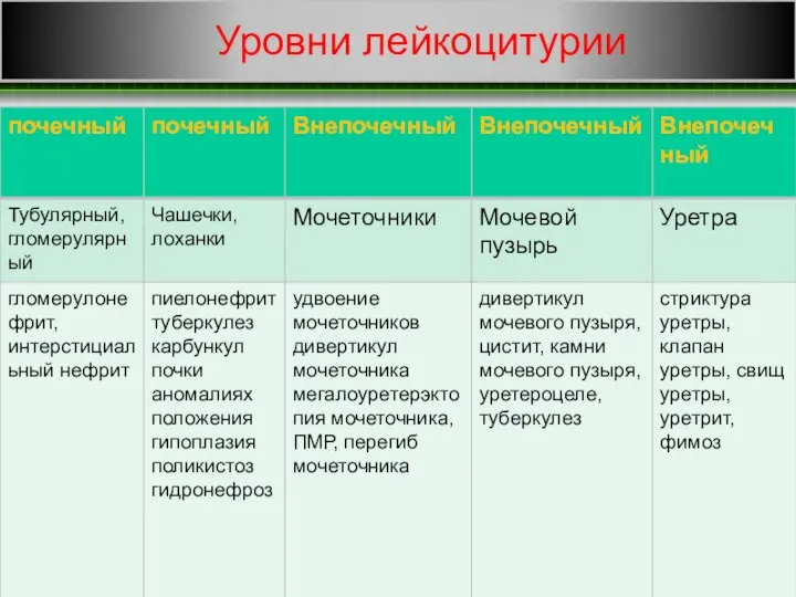 Уровни лейкоцитурии