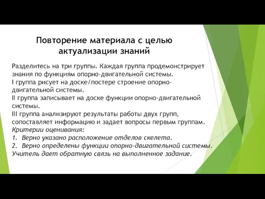 Разделитесь на три группы. Каждая группа продемонстрирует знания по функциям опорно-двигательной системы.