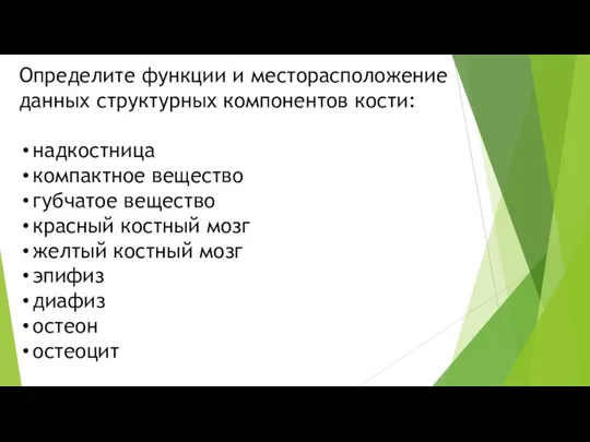 Определите функции и месторасположение данных структурных компонентов кости: надкостница компактное вещество губчатое