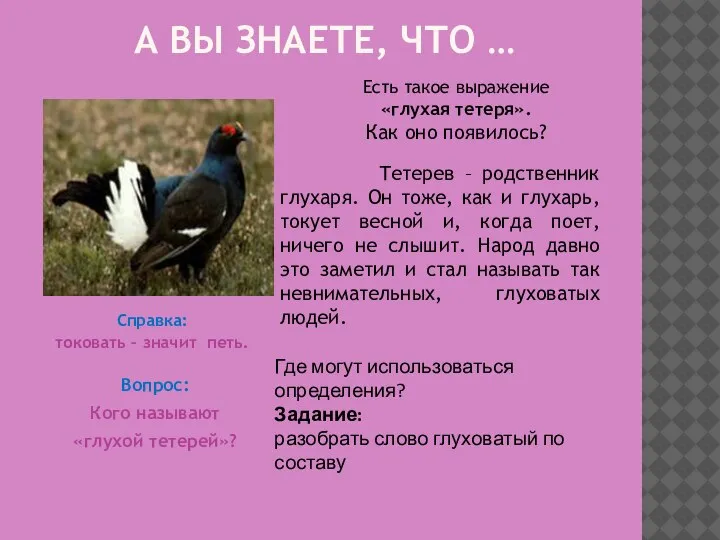 А ВЫ ЗНАЕТЕ, ЧТО … Справка: токовать – значит петь. Вопрос: Кого