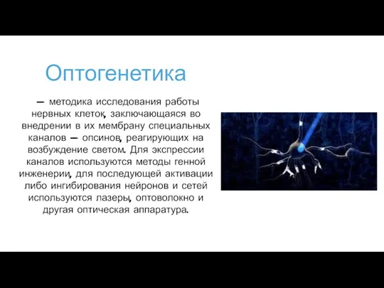 Оптогенетика — методика исследования работы нервных клеток, заключающаяся во внедрении в их