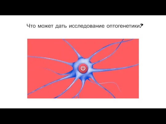 Что может дать исследование оптогенетики?