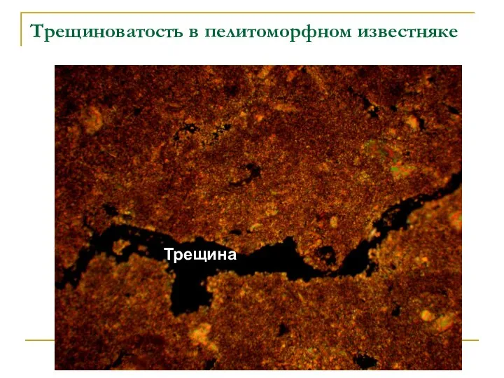 Трещиноватость в пелитоморфном известняке Трещина