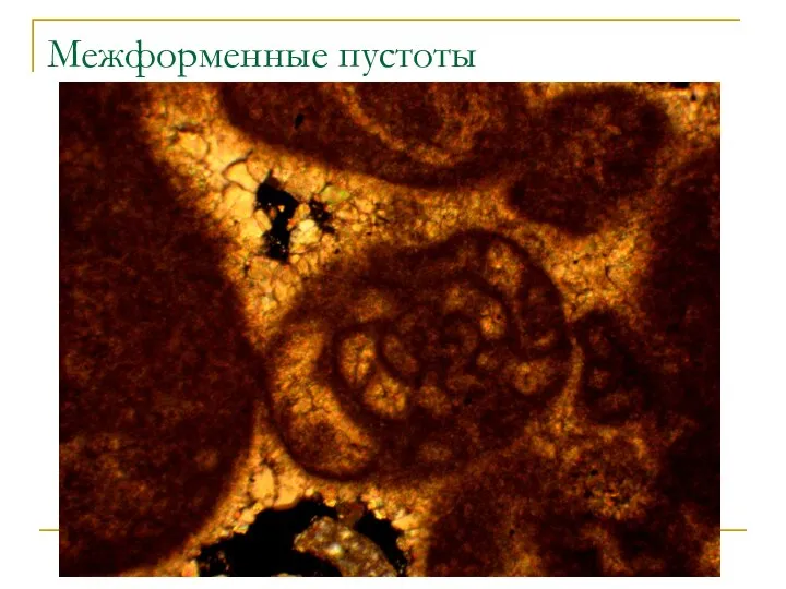 Межформенные пустоты