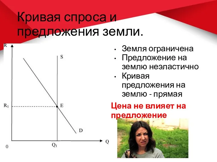 Кривая спроса и предложения земли. Земля ограничена Предложение на землю неэластично Кривая