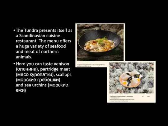 The Tundra presents itself as a Scandinavian cuisine restaurant. The menu offers