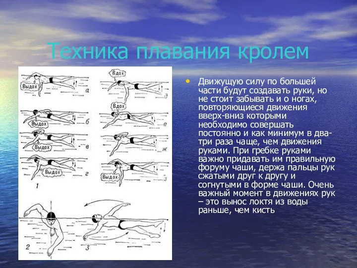 Техника плавания кролем Движущую силу по большей части будут создавать руки, но