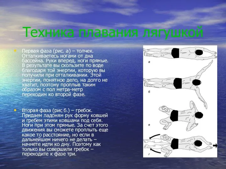 Техника плавания лягушкой Первая фаза (рис. а) – толчек. Отталкиваетесь ногами от