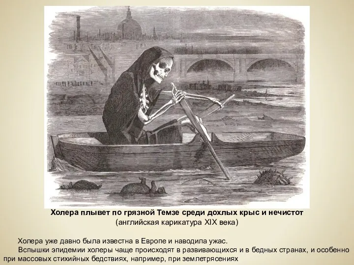 Холера плывет по грязной Темзе среди дохлых крыс и нечистот (английская карикатура