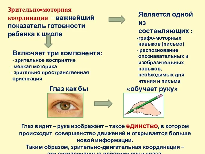 Зрительно-моторная координация – важнейший показатель готовности ребенка к школе Включает три компонента: