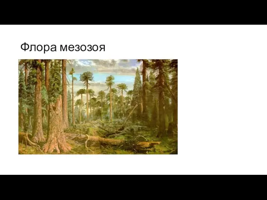 Флора мезозоя