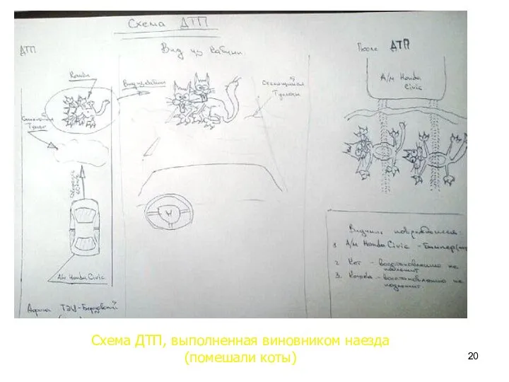 Схема ДТП, выполненная виновником наезда (помешали коты)