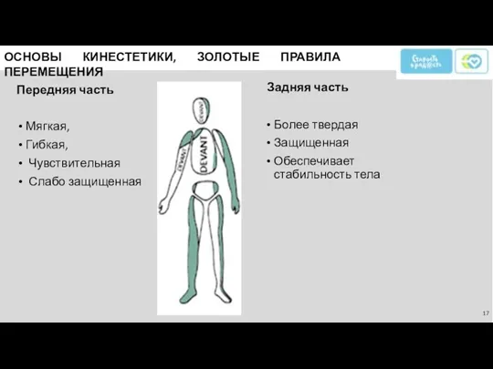 ОСНОВЫ КИНЕСТЕТИКИ, ЗОЛОТЫЕ ПРАВИЛА ПЕРЕМЕЩЕНИЯ Передняя часть Мягкая, Гибкая, Чувствительная Слабо защищенная