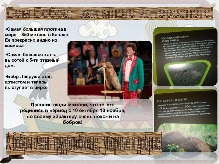 Дом Бобра: как много интересного! . Самая большая плотина в мире –