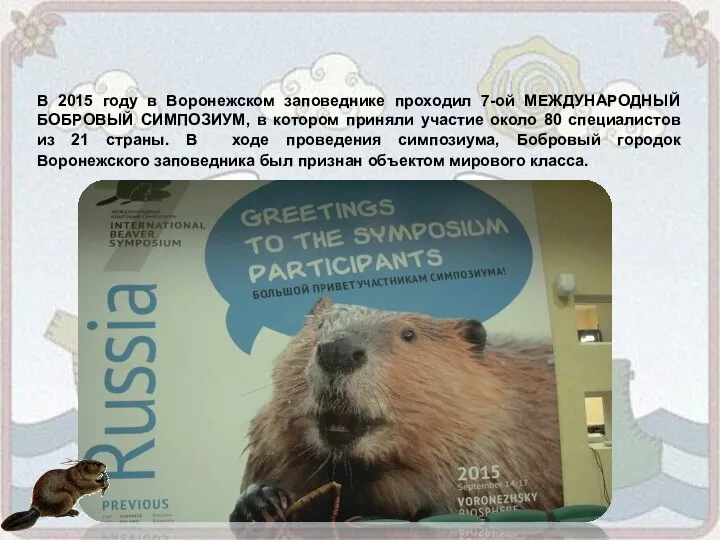 В 2015 году в Воронежском заповеднике проходил 7-ой МЕЖДУНАРОДНЫЙ БОБРОВЫЙ СИМПОЗИУМ, в