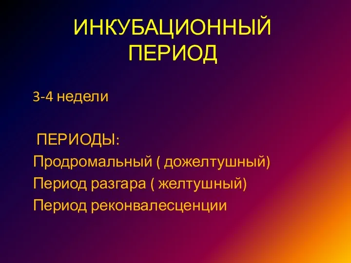 ИНКУБАЦИОННЫЙ ПЕРИОД 3-4 недели ПЕРИОДЫ: Продромальный ( дожелтушный) Период разгара ( желтушный) Период реконвалесценции