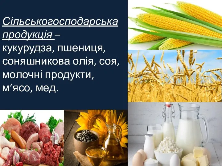 Сільськогосподарська продукція – кукурудза, пшениця, соняшникова олія, соя, молочні продукти, м’ясо, мед.