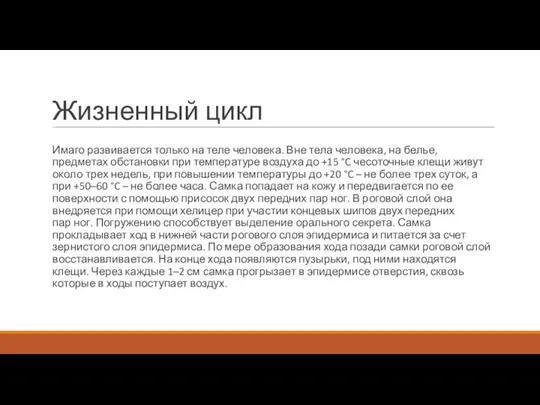 Жизненный цикл Имаго развивается только на теле человека. Вне тела человека, на