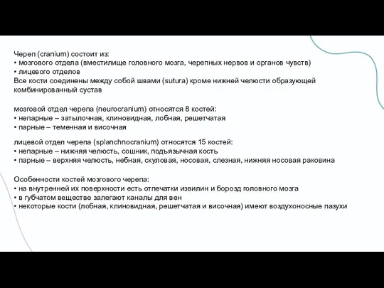 Череп (cranium) состоит из: • мозгового отдела (вместилище головного мозга, черепных нервов