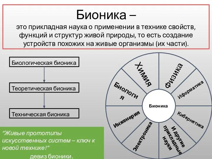 Бионика – это прикладная наука о применении в технике свойств, функций и