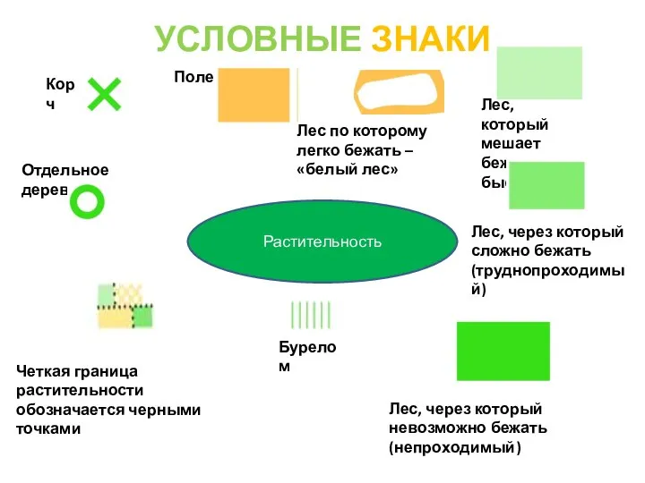 УСЛОВНЫЕ ЗНАКИ Растительность Корч Отдельное дерево Четкая граница растительности обозначается черными точками