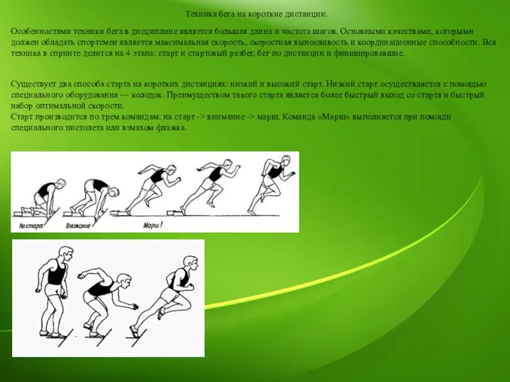 Техника бега на короткие дистанции. Особенностями техники бега в дисциплине является большая