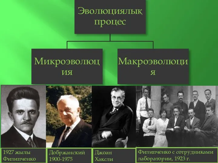 1927 жылы Филипченко Добржанский 1900-1975 Джоан Хаксли Филипченко с сотрудниками лаборатории, 1923 г.