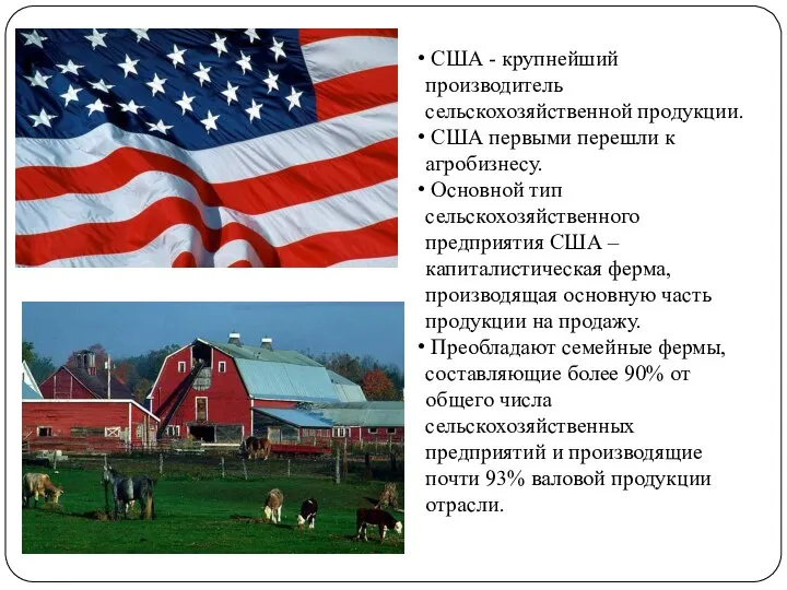 США - крупнейший производитель сельскохозяйственной продукции. США первыми перешли к агробизнесу. Основной