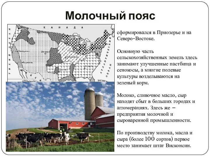 Молочный пояс сформировался в Приозерье и на Северо-Востоке. Основную часть сельскохозяйственных земель