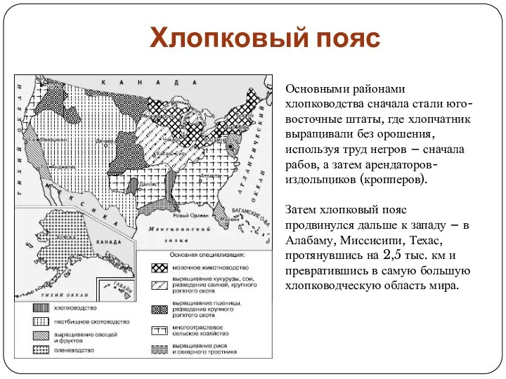 Хлопковый пояс Основными районами хлопководства сначала стали юго-восточные штаты, где хлопчатник выращивали