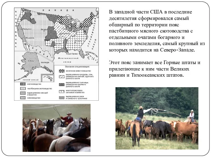 В западной части США в последние десятилетия сформировался самый обширный по территории