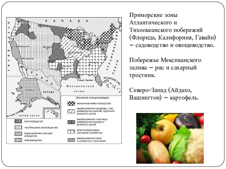 Приморские зоны Атлантического и Тихоокеанского побережий (Флорида, Калифорния, Гавайи) – садоводство и