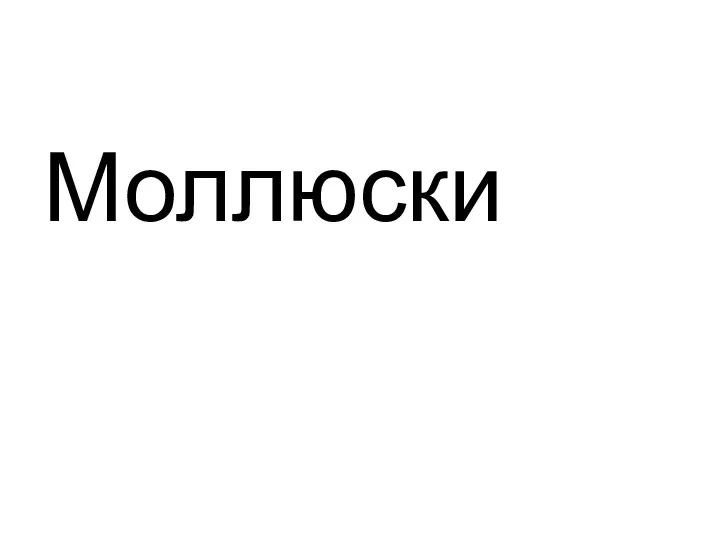 Моллюски