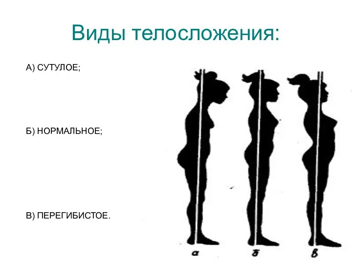 Виды телосложения: А) СУТУЛОЕ; Б) НОРМАЛЬНОЕ; В) ПЕРЕГИБИСТОЕ.