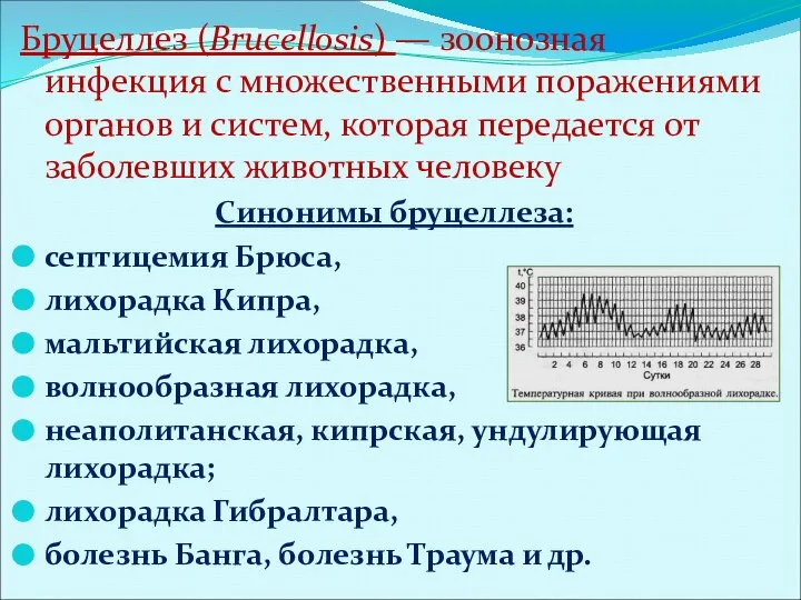 Бруцеллез (Вrucellosis) — зоонозная инфекция с множественными поражениями органов и систем, которая