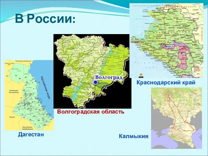 В России: Дагестан Калмыкия Краснодарский край Волгоградская область