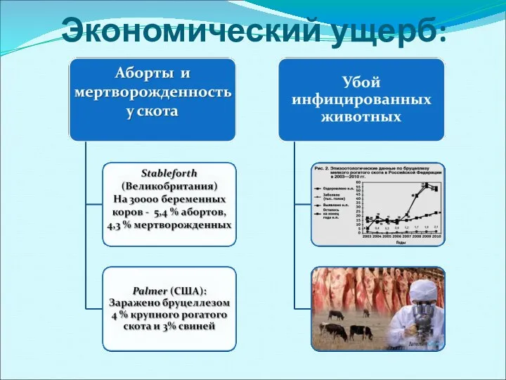 Экономический ущерб: