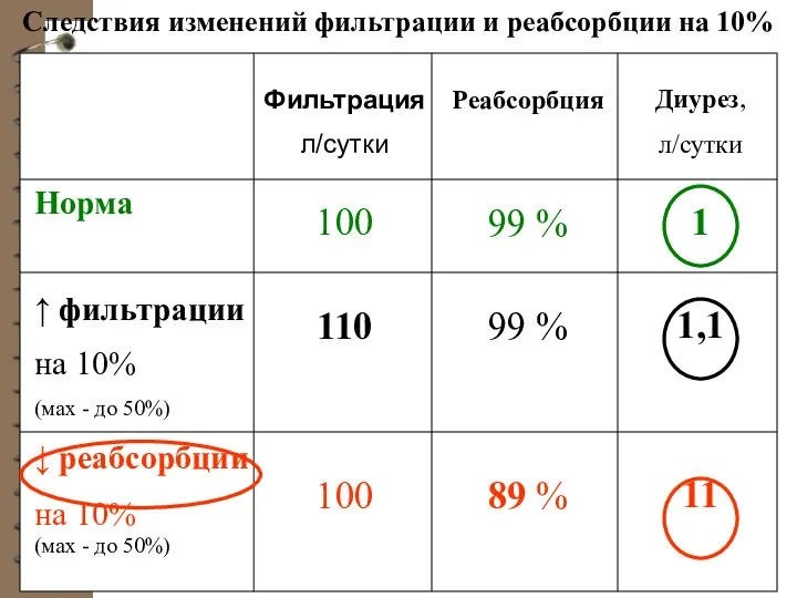 Норма ↑ фильтрации на 10% (мах - до 50%) ↓ реабсорбции на