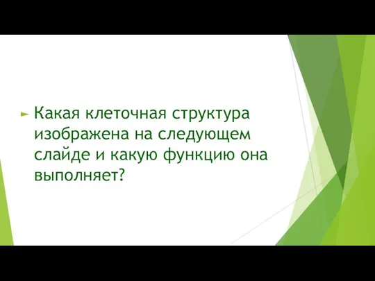 Какая клеточная структура изображена на следующем слайде и какую функцию она выполняет?