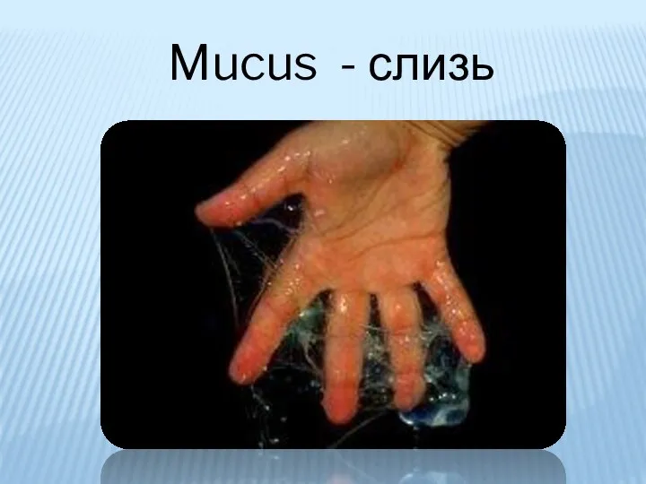 Mucus - слизь