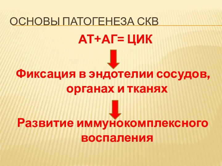 ОСНОВЫ ПАТОГЕНЕЗА СКВ АТ+АГ= ЦИК Фиксация в эндотелии сосудов, органах и тканях Развитие иммунокомплексного воспаления