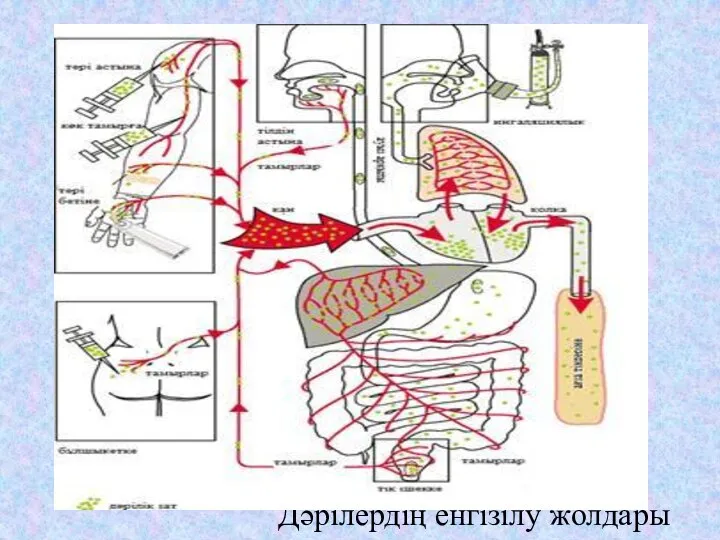 Дәрілердің енгізілу жолдары