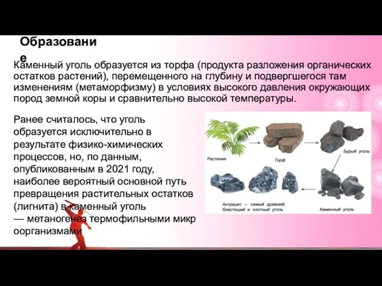 Образование Каменный уголь образуется из торфа (продукта разложения органических остатков растений), перемещенного